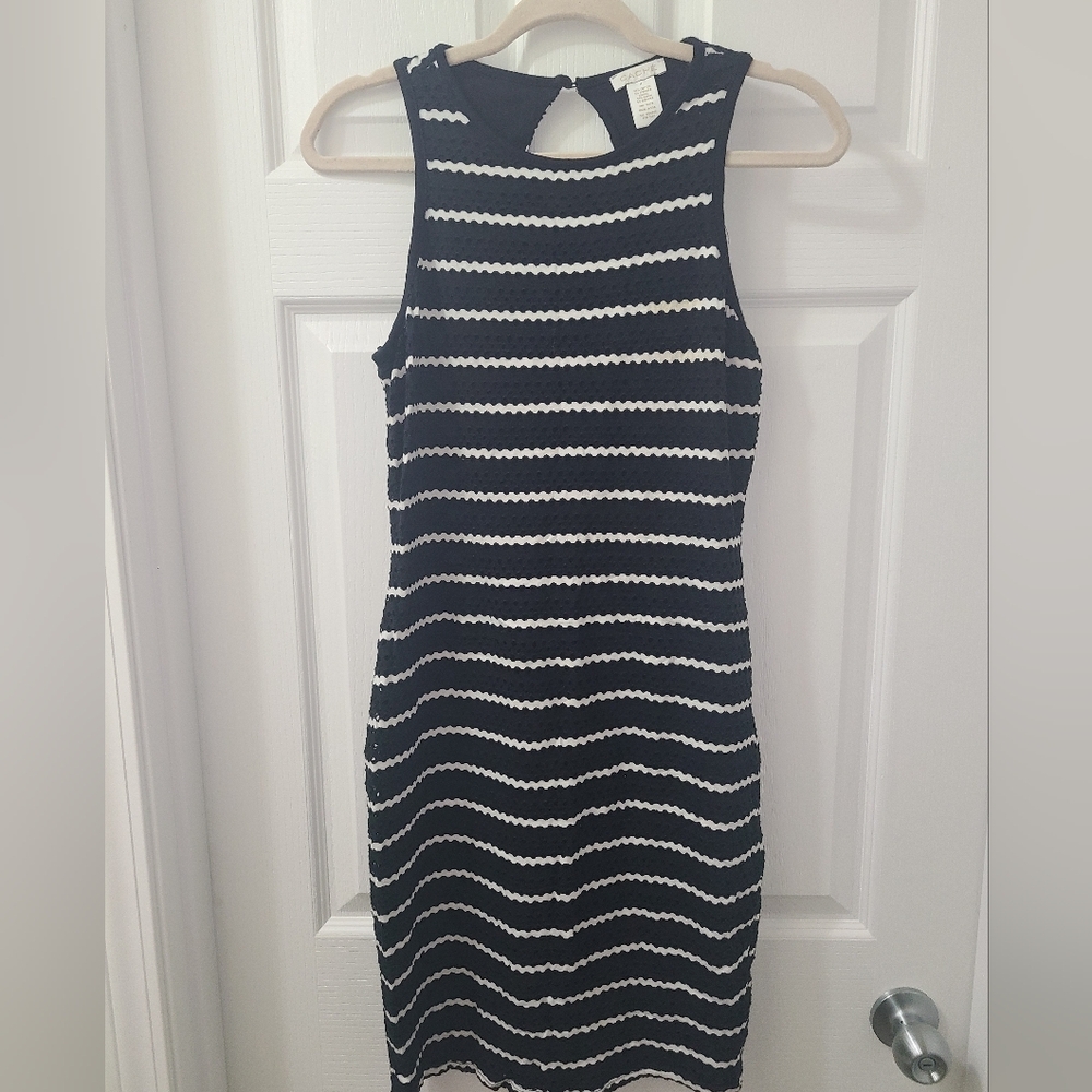 Caché Striped Dress